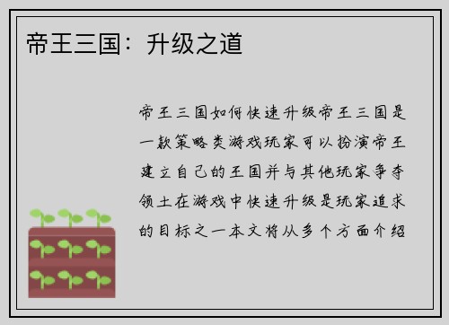 帝王三国：升级之道